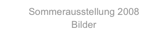 Sommerausstellung 2008
Bilder